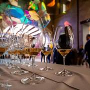 Experiencia enológica «Entrevins i Art» en València