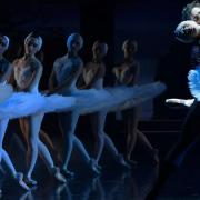 Ciclo de espectáculos de danza en Les Arts