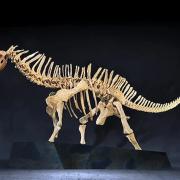 Exposición «Dinosaurios de la Patagonia» en València