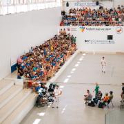 Partida pilota valenciana