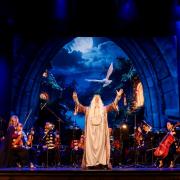 Espectáculo «Harry Sinfónico» en Roig Arena