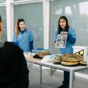 Disfruta de la Semana de la Ciencia en València 