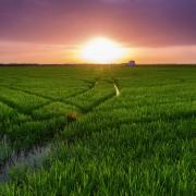 Atardecer en València