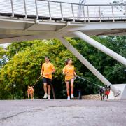 Participa en la carrera Dogfy Run Solidaria en València