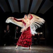 Planes para disfrutar del mejor flamenco en València