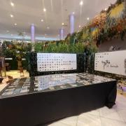 Ripollés al desnudo en València