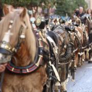 Fiestas de Sant Antoni 2024