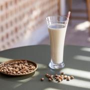 Talleres de horchata artesanal en Alboraya con Món Orxata