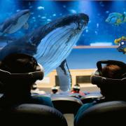 Experiencia «INMERSIÓN» en el Oceanogràfic de València