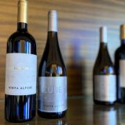 Cata de vinos en el Casino Cirsa de València