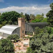 Visita totalmente gratis el Jardí Botànic de València
