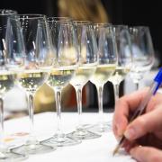 Experiencia Verema: el gran encuentro del vino en València