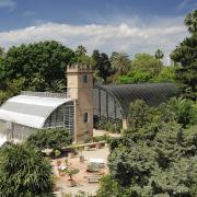 Visitas guiadas por el Jardín Botánico de València