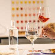 Cata de cinco vinos en el Celler de Proava de València 