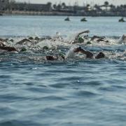 XXXII Travesía a nado al puerto de València