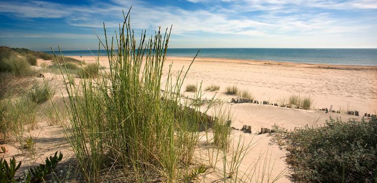Playa Albufera Valencia
