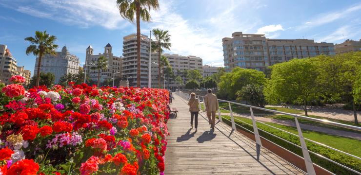 Puente de las Flores Valencia