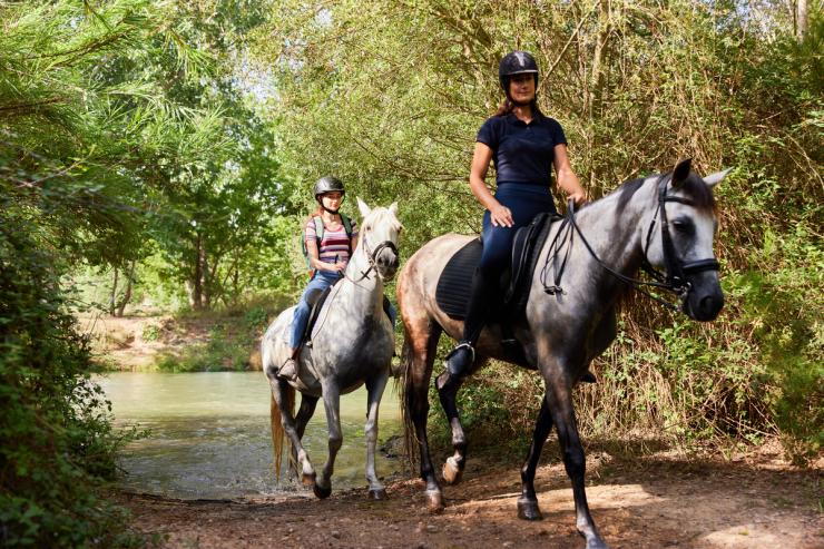 Caballos parque fluvial