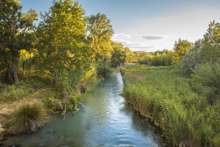 Parque fluvial Turia