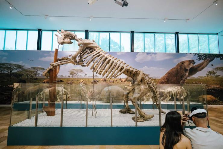 Día Internacional de los Museos 2026 en València